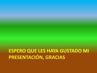ESPERO QUE LES HAYA GUSTADO MI
PRESENTACIÓN, GRACIAS

 