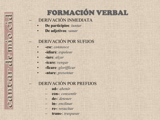 MORFOLOGÍA	ARTÍCULO  Artículo definido