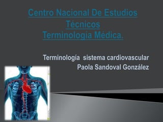 Terminología sistema cardiovascular
Paola Sandoval González
 