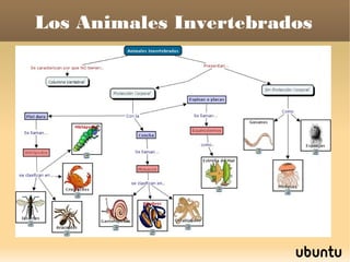 Los Animales Invertebrados

 