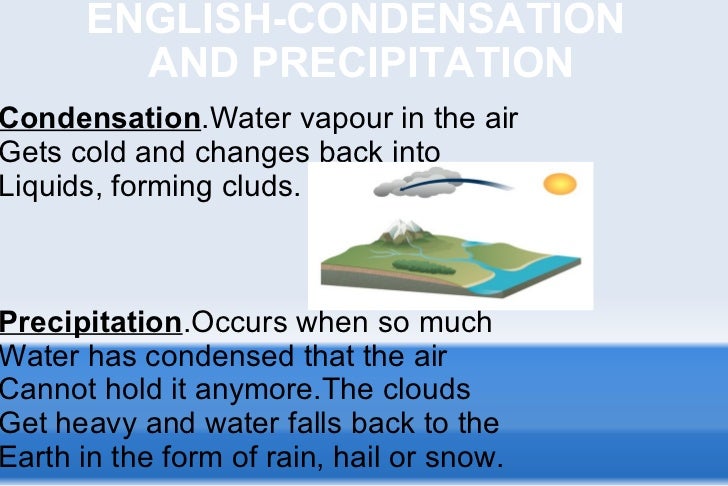 Back To The Ocean - Rain Back To The Ocean - Rain