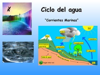 Ciclo del agua
 “Corrientes Marinas”
 