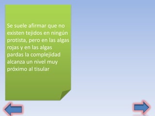Se suele afirmar que no
existen tejidos en ningún
protista, pero en las algas
rojas y en las algas
pardas la complejidad
alcanza un nivel muy
próximo al tisular
 