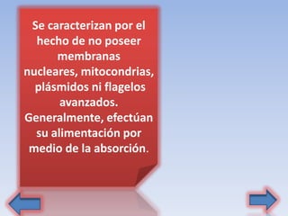 Se caracterizan por el
hecho de no poseer
membranas
nucleares, mitocondrias,
plásmidos ni flagelos
avanzados.
Generalmente, efectúan
su alimentación por
medio de la absorción.
 