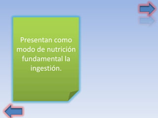 Presentan como
modo de nutrición
fundamental la
ingestión.
 