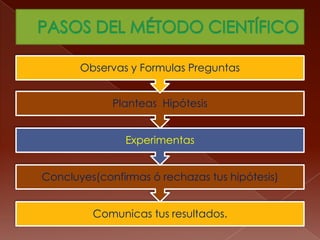 PASOS DEL MÉTODO CIENTÍFICO