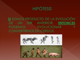 HIPÓTESISSI SOMOS PRODUCTO DE LA EVOLUCIÓN DE UN SER ANTERIOR, ENTONCES PODEMOS EVOLUCIONAR Y CONVERTIRNOS EN CERDOS.