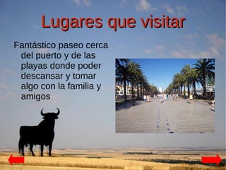 Lugares que visitar
Fantástico paseo cerca
 del puerto y de las
 playas donde poder
 descansar y tomar
 algo con la familia y
 amigos
 