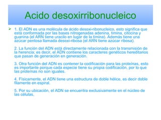 Acido desoxirribonucleico
 1. El ADN es una molécula de ácido desoxi-ribonucleico, esto significa que
está conformada por las bases nitrogenadas adenina, timina, citocina y
guanina (el ARN tiene uracilo en lugar de la timina). Además tiene una
azúcar pentosa llamada desoxi-ribosa (el ARN tiene azúcar ribosa).
2. La función del ADN está directamente relacionada con la transmisión de
la herencia; es decir, el ADN contiene los caracteres genéticos hereditarios
que pasan de generación en generación.
3. Otra función del ADN es contener la codificación para las proteínas, esto
es importante porque cada especie tiene su propia codificación, por lo que
las proteínas no son iguales.
4. Físicamente, el ADN tiene una estructura de doble hélice, es decir doble
filamente en espiral.
5. Por su ubicación, el ADN se encuentra exclusivamente en el núcleo de
las células,
 