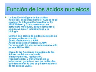 Función de los ácidos nucleicos
 La función biológica de los ácidos
nucléicos, específicamente el ADN es la de
contener la información hereditaria. En
1953 Watson y Crick resolvieron su
estructura molecular, dando comienzo a
una nueva era en la bioquímica y la
biología.
Existen dos clases de ácidos nucleicos en
todo organismo viviente:
Ácido ribonucleico o ARN
Ácido desoxirribonucleico o ADN
Por otra parte los virus contienen uno solo
ya sea ARN o ADN.
Otras de las funciones biológicas de los
ácidos nucleicos son las de
almacenamiento, replicación,
recombinación, y transmisión de la
información genética ( son las moléculas
que determinan lo que es y hace cada una
de las células vivas).
 