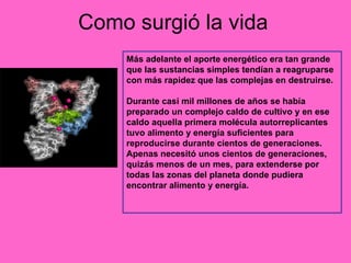 Como surgió la vida Más adelante el aporte energético era tan grande que las sustancias simples tendían a reagruparse con más rapidez que las complejas en destruirse.   Durante casi mil millones de años se había preparado un complejo caldo de cultivo y en ese caldo aquella primera molécula autorreplicantes tuvo alimento y energía suficientes para reproducirse durante cientos de generaciones. Apenas necesitó unos cientos de generaciones, quizás menos de un mes, para extenderse por todas las zonas del planeta donde pudiera encontrar alimento y energía.   