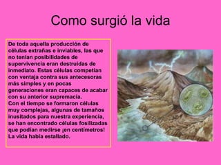 Como surgió la vida De toda aquella producción de células extrañas e inviables, las que no tenían posibilidades de supervivencia eran destruidas de inmediato. Estas células competían con ventaja contra sus antecesoras más simples y en pocas generaciones eran capaces de acabar con su anterior supremacía. Con el tiempo se formaron células muy complejas, algunas de tamaños inusitados para nuestra experiencia, se han encontrado células fosilizadas que podían medirse ¡en centímetros! La vida había estallado. 