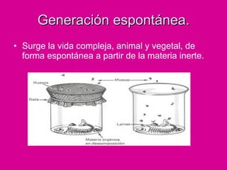 Generación espontánea. Surge la vida compleja, animal y vegetal, de forma espontánea a partir de la materia inerte. 