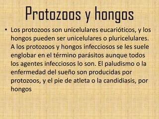 Protozoos y hongos
• Los protozoos son unicelulares eucarióticos, y los
  hongos pueden ser unicelulares o pluricelulares.
  A los protozoos y hongos infecciosos se les suele
  englobar en el término parásitos aunque todos
  los agentes infecciosos lo son. El paludismo o la
  enfermedad del sueño son producidas por
  protozoos, y el pie de atleta o la candidiasis, por
  hongos
 