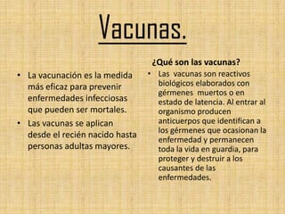 Vacunas.
                                  ¿Qué son las vacunas?
• La vacunación es la medida     • Las vacunas son reactivos
  más eficaz para prevenir         biológicos elaborados con
                                   gérmenes muertos o en
  enfermedades infecciosas         estado de latencia. Al entrar al
  que pueden ser mortales.         organismo producen
• Las vacunas se aplican           anticuerpos que identifican a
                                   los gérmenes que ocasionan la
  desde el recién nacido hasta
                                   enfermedad y permanecen
  personas adultas mayores.        toda la vida en guardia, para
                                   proteger y destruir a los
                                   causantes de las
                                   enfermedades.
 