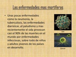 Las enfermedades mas mortíferas
• Unas pocas enfermedades
  como la neumonía, la
  tuberculosis, las enfermedades
  diarreicas ,el paludismo y mas
  recientemente el sida provocan
                                      VIH
  casi el 90% de las muertes en el
  mundo por enfermedades
  infecciosas, sobre todo de niños
  y adultos jóvenes de los países
  en desarrollo.                     Cáncer
 