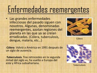 Enfermedades reemergentes
• Las grandes enfermedades
  infecciosas del pasado siguen con
  nosotros. Algunas, denominadas
  reemergentes, azotan regiones del
  planeta en las que ya se creían
  erradicadas. (Cólera, tuberculosis,           Cólera
   dengue, malaria, etc…)

-Cólera:Volvió a América en 1991 después de
un siglo de ausencia.

-Tuberculosis: Trasretrocedes en la segunda
mitad del siglo xx, ha vuelto a Europa del
este y África subsahariana.
                                              Tuberculosis
 