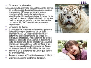 Síndrome de Klinefelter
se considera la anomalía gonosómica más común
en los humanos. Los afectados presentan un
cromosoma “X” supernumerario lo que
conduce a fallo testicular primario con
infertilidad e hipoandrogenismo. A pesar de la
relativa frecuencia del padecimiento en recién
nacidos vivos, se estima que la mitad de los
productos 47, XXY se abortan de manera
espontánea.
 Síndrome de Turner
 o Monosomía X es una enfermedad genética
caracterizada por presencia de un solo
'cromosoma X. La falta de cromosoma Y
determina el sexo femenino de todos los
individuos afectados, y la ausencia de todo o
parte del segundo cromosoma X determina la
falta de desarrollo de los caracteres sexuales
primarios y secundarios. Esto confiere a las
mujeres que padecen el síndrome de Turner
un aspecto infantil e infertilidad de por vida
 Trisomía 21 o Síndrome de Down que tienen
47 cromosomas.
 Trisomía sexual XYY o Síndrome del doble Y.
 Cromosoma extra Síndrome de Down.
 