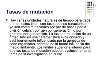 Tasas de mutación
 Hay varias unidades naturales de tiempo para cada
uno de estos tipos, con tasas que se caracterizan
ya sea como mutaciones por par de bases por la
división celular, por gen por generación, o por
genoma por generación. La tasa de mutación de un
organismo es una característica evolucionado y
está fuertemente influenciado por la genética de
cada organismo, además de la fuerte influencia del
medio ambiente. Los límites superior e inferior para
que las tasas de mutación pueden evolucionar es el
tema de la investigación en curso.
 