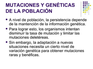 MUTACIONES Y GENÉTICAS
DE LA POBLACIÓN
 A nivel de población, la persistencia depende
de la mantención de la información genética.
 Para lograr esto, los organismos intentan
disminuir la tasa de mutación y limitar las
mutaciones deletéreas.
 Sin embargo, la adaptación a nuevas
situaciones necesita un cierto nivel de
variación genética para obtener mutaciones
raras y benéficas.
 