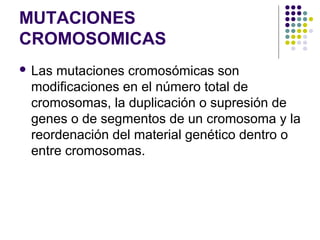 MUTACIONES
CROMOSOMICAS
 Las mutaciones cromosómicas son
modificaciones en el número total de
cromosomas, la duplicación o supresión de
genes o de segmentos de un cromosoma y la
reordenación del material genético dentro o
entre cromosomas.
 