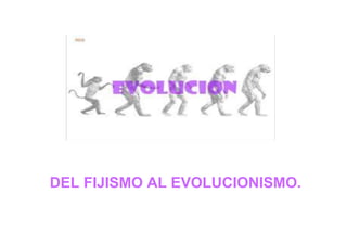 DEL FIJISMO AL EVOLUCIONISMO.

 