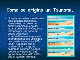 Como se origina un Tsunami.
 Una placa oceánica se desliza
bajo la placa continental,
cuando esto ocurre en el
suelo oceánico puede dar
lugar a un tsunami. Que esta
formado por una serie de
ondas oceánicas
extremadamente largas que
se propagan a una velocidad
que puede superar los 800
km/h. A medida que el
tsunami alcanza aguas
costera la columna de agua
reduce su velocidad. Las
aguas se retiran justo antes
que el tsunami irrumpa.
 