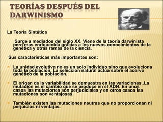 La Teoría Sintética Surge a mediados del siglo XX. Viene de la teoría darwinista pero mas enriquecida gracias a los nuevos conocimientos de la genética y otras ramas de la ciencia.  Sus características más importantes son: La unidad evolutiva no es un solo individuo sino que evoluciona toda la población. La selección natural actúa sobre el acervo genético de la población. El origen de la variabilidad se demuestra en las variaciones..La mutación es el cambio que se produce en el ADN. En unos casos las mutaciones son perjudiciales y en otros casos las mutaciones son ventajosas. También existen las mutaciones neutras que no proporcionan ni perjuicios ni ventajas. 