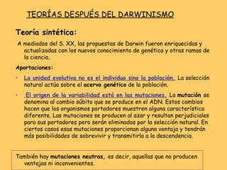 Teoría sintética: A mediados del S. XX, las propuestas de Darwin fueron enriquecidas y actualizadas con los nuevos conocimiento de genética y otras ramas de la ciencia. Aportaciones:  La unidad evolutiva no es el individuo sino la población.   La selección natural actúa sobre el  acervo genético  de la población. El origen de la variabilidad está en las mutaciones.   La  mutación  se denomina al cambio súbito que se produce en el ADN. Estos cambios hacen que los organismos portadores muestren alguna característica diferente. Las mutaciones se producen al azar y resultan perjudiciales para sus portadores pero serán eliminados por la selección natural. En ciertos casos esas mutaciones proporcionan alguna ventaja y tendrán más posibilidades de sobrevivir y transmitirla a la descendencia. También hay  mutaciones neutras,  es decir, aquellas que no producen ventajas ni inconvenientes. TEORÍAS DESPUÉS DEL DARWINISMO 