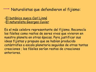 Naturalistas que defendieron el fijismo: - El botánico sueco Carl Linné - El naturalista Georges Cuvier Es el más celebre representante del fijismo. Reconocía los fósiles como restos de seres vivos que vivieron en nuestro planeta en otras épocas. Para justificar sus ideas fijistas y propuso que se habían producido catástrofes a escala planetaria seguidas de otras tantas creaciones ; los fósiles serían restos de creaciones anteriores. 