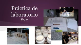 Práctica de 
laboratorio 
Yogur 
 