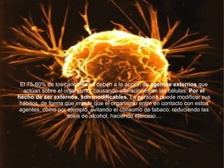 El 75-80% de los cánceres se deben a la acción de  agentes externos  que actúan sobre el organismo, causando alteraciones en las células.  Por el hecho de ser externos, son modificables.  La persona puede modificar sus hábitos, de forma que impide que el organismo entre en contacto con estos agentes, como por ejemplo, evitando el consumo de tabaco, reduciendo las dosis de alcohol, haciendo ejercicio… 