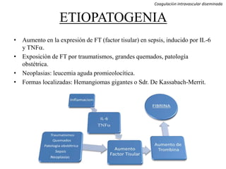ETIOPATOGENIA
• Aumento en la expresión de FT (factor tisular) en sepsis, inducido por IL-6
y TNFa.
• Exposiciòn de FT por traumatismos, grandes quemados, patología
obstétrica.
• Neoplasias: leucemia aguda promieolocítica.
• Formas localizadas: Hemangiomas gigantes o Sdr. De Kassabach-Merrit.
Coagulación intravascular diseminada
 