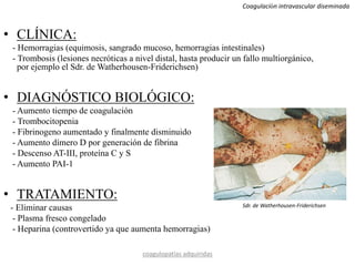 • CLÍNICA:
- Hemorragias (equimosis, sangrado mucoso, hemorragias intestinales)
- Trombosis (lesiones necróticas a nivel distal, hasta producir un fallo multiorgánico,
por ejemplo el Sdr. de Watherhousen-Friderichsen)
• DIAGNÓSTICO BIOLÓGICO:
- Aumento tiempo de coagulación
- Trombocitopenia
- Fibrinogeno aumentado y finalmente disminuido
- Aumento dímero D por generación de fibrina
- Descenso AT-III, proteína C y S
- Aumento PAI-1
• TRATAMIENTO:
- Eliminar causas
- Plasma fresco congelado
- Heparina (controvertido ya que aumenta hemorragias)
coagulopatías adquiridas
Coagulación intravascular diseminada
Sdr. de Watherhousen-Friderichsen
 