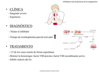 • CLÍNICA
- Sangrado severo
- Equimosis
• DIAGNÓSTICO
- Titular el inhibidor
- Tiempo de tromboplastina parcial activado:
• TRATAMIENTO
- 1/3 de los casos remite de forma espontánea
- Detener la hemorragia: factor VIII porcino; factor VIII recombinante activo
- Inhibir sintesis del Ac
coagulopatías adquiridas
Inhibidores de los factores de la coagulación
 