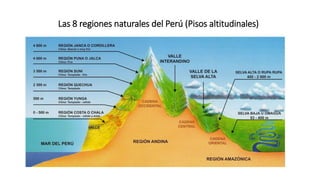 Las 8 regiones naturales del Perú (Pisos altitudinales)
 