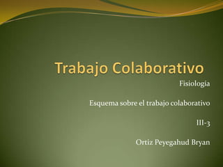 Fisiología

Esquema sobre el trabajo colaborativo

                                III-3

              Ortiz Peyegahud Bryan
 