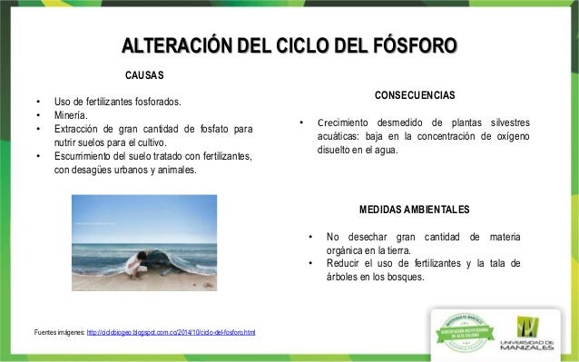 Trabajo Colaborativo Ciclos Y Biomas Ecologia Wiki 2