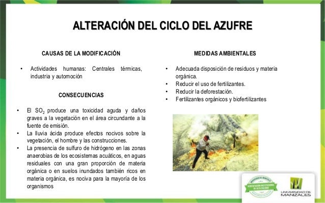 Trabajo colaborativo ciclos y biomas- ecologia wiki 2
