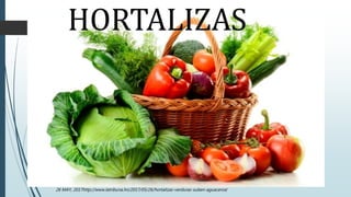 HORTALIZAS
26 MAY, 2017http://www.latribuna.hn/2017/05/26/hortalizas-verduras-suben-aguaceros/
 