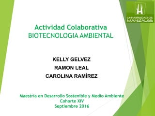 Actividad Colaborativa
BIOTECNOLOGIA AMBIENTAL
KELLY GELVEZ
RAMON LEAL
CAROLINA RAMÍREZ
Maestría en Desarrollo Sostenible y Medio Ambiente
Cohorte XIV
Septiembre 2016
 