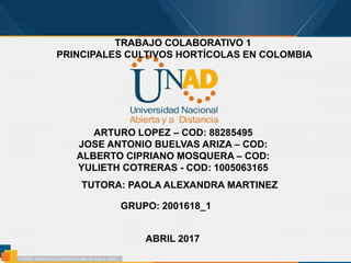 ABRIL 2017
TRABAJO COLABORATIVO 1
PRINCIPALES CULTIVOS HORTÍCOLAS EN COLOMBIA
GRUPO: 2001618_1
ARTURO LOPEZ – COD: 88285495
JOSE ANTONIO BUELVAS ARIZA – COD:
ALBERTO CIPRIANO MOSQUERA – COD:
YULIETH COTRERAS - COD: 1005063165
TUTORA: PAOLA ALEXANDRA MARTINEZ
 