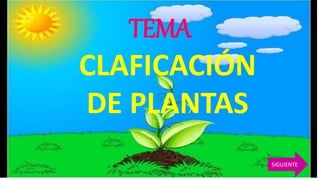TEMA
CLAFICACIÓN
DE PLANTAS
SIGUIENTE
 