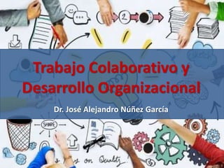 Trabajo Colaborativo y
Desarrollo Organizacional
Dr. José Alejandro Núñez García
 