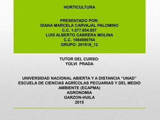 HORTICULTURA
PRESENTADO POR:
DIANA MARCELA CARVAJAL PALOMINO
C.C. 1.077.854.857
LUIS ALBERTO CABRERA MOLINA
C.C. 1084899764
GRUPO: 201618_12
TUTOR DEL CURSO:
YOLVI PRADA
UNIVERSIDAD NACIONAL ABIERTA Y A DISTANCIA “UNAD”
ESCUELA DE CIENCIAS AGRÍCOLAS PECUARIAS Y DEL MEDIO
AMBIENTE (ECAPMA)
AGRONOMIA
GARZON-HUILA
2015
 