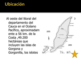 Al oeste del litoral del   de El Viudo y El Horno
 departamento del          y el sector marino
 Cauca en el Océano        circundante.
 Pacífico, aproximadam
 ente a 56 km. de la
 Costa ,49.200
 hectáreas que
 incluyen las islas de
 Gorgona y
 Gorgonilla, los islotes
 