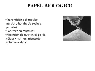 PAPEL BIOLÓGICO

•Transmisión del impulso
 nervioso(bomba de sodio y
 potasio)
•Contracción muscular.
•Absorción de nutrientes por la
 célula y mantenimiento del
 volumen celular.
 