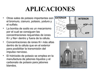 APLICACIONES
• Otras sales de potasio importantes son 
  el bromuro, cianuro, potasio, yoduro y 
  el sulfato.
• La bomba de sodio es un mecanismo 
  por el cual se consiguen las 
  concentraciones requeridas de iones 
  K+ y Na+ dentro y fuera de la célula.
• Concentraciones de iones K+ más altas 
  dentro de la célula que en el exterior 
  para posibilitar la transmisión del 
  impulso nervioso.
• El hidróxido de potasio se emplea en la 
  manufactura de jabones líquidos y el 
  carbonato de potasio para jabones 
  blandos.
 