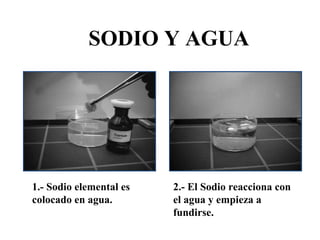 SODIO Y AGUA




1.- Sodio elemental es   2.- El Sodio reacciona con
colocado en agua.        el agua y empieza a
                         fundirse.
 