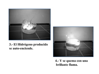 3.- El Hidrógeno producido
se auto-enciende.


                             4.- Y se quema con una
                              brillante flama.
 